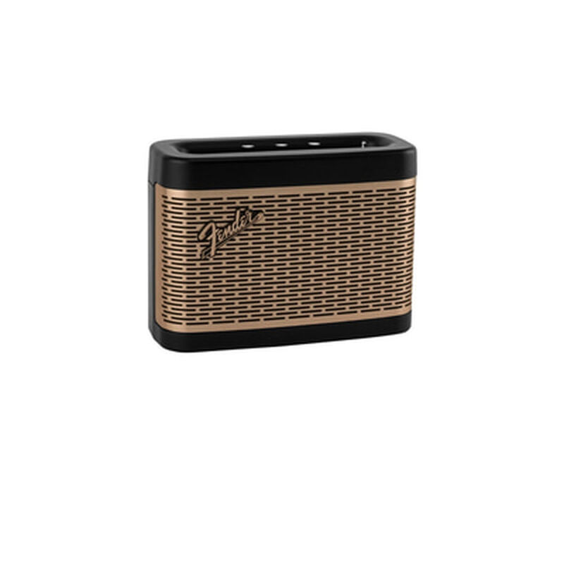 FENDER Newport2-image 2