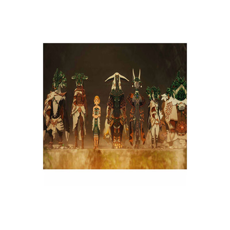 NINTENDO Hyrule Warriors Age Of I NTD-BEE-P-AAGAB-SEA-image 6